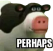 perhaps perhaps