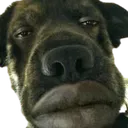 2Q