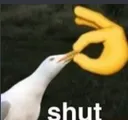 shut