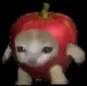 apple apple