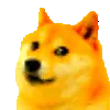 8806dogepartyvibrate