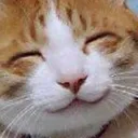 cat_smile