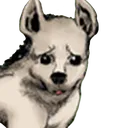 iwasuke