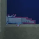 AxolotlSpin