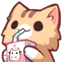 SippyCatto