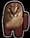 sus