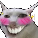 blushysmileysmile