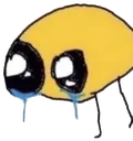 in_shambles