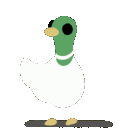 SillyDuckDance