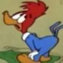 bota
