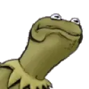 KermitAngry