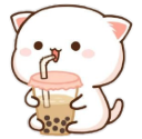 bobacat Discord emoji