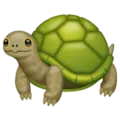 weirdturtle