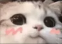 blushca1