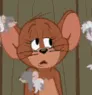gifsc_jerryconfused