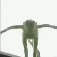 KermitFall