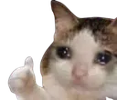 pussyOk