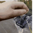 MespiPet Discord emoji