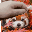 CreeperPet Discord emoji