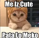me_mc_hu