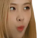 RosePog RosePog