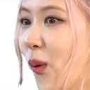 RosePog2