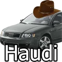 haudi