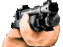 Shotgun
