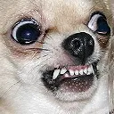 RAGE_CC