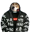Edemdrip