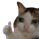 sadcat Discord Emoji
