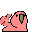 h_thumbsup_parrot h_thumbsup_parrot