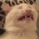 CE_inpain2 CE_inpain2