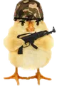 GyroSoldier