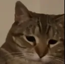 sadge