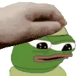 petProgamer
