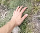 touchgrass touchgrass