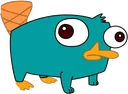 PERRY_PUS