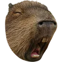 Letsfuckingbaraaaaaaa