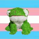 trans_frog