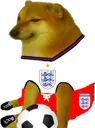 EnglandDoge Discord Emoji