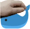 whalepats