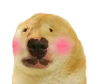 dugflush