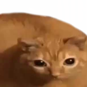 SkyRealLife Discord emoji