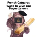 catgaros catgaros