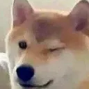 Wink