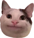 smilecat