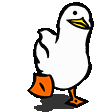 pato
