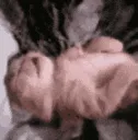 FR0GE_TwitchingInSleep