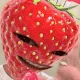 aminhoberrywave